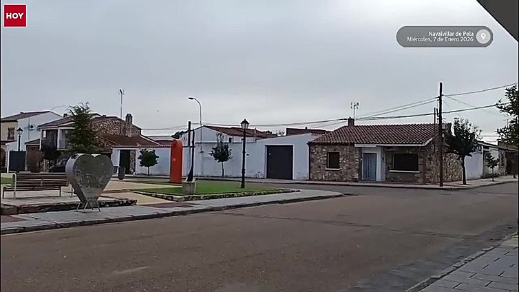 Copos de nieve caídos en Navalvillar de Pela