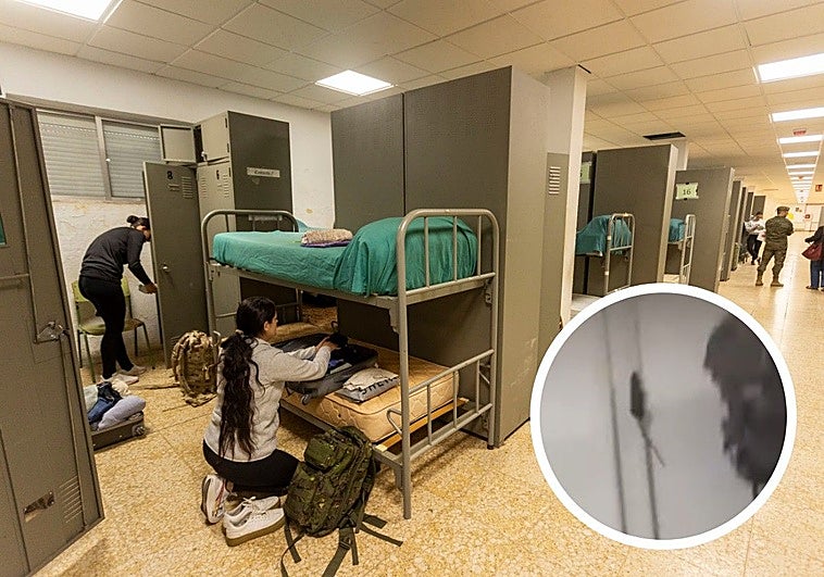 El Cefot de Cáceres toma medidas para erradicar una plaga de roedores en su recinto