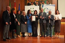 Acto de entrega del reconocimiento ayer en el CCMI.