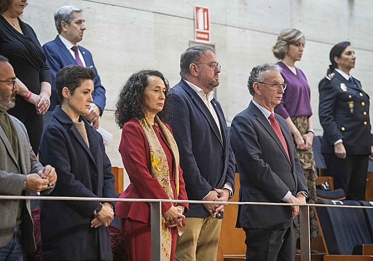 Mucha expectación y autoridades para seguir un pleno sin medallas