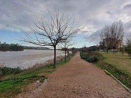 Fotos | El paso de Kristin por Extremadura: muros, derribados, árboles caídos y cubiertas volando