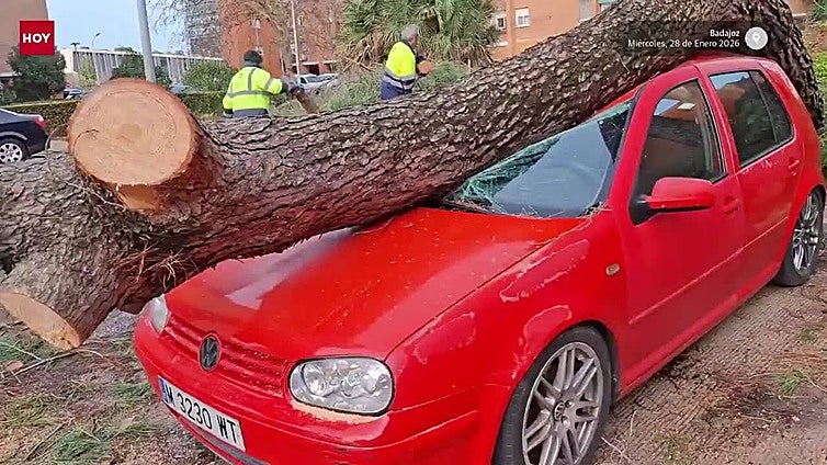 Los estragos del temporal a su paso por Badajoz