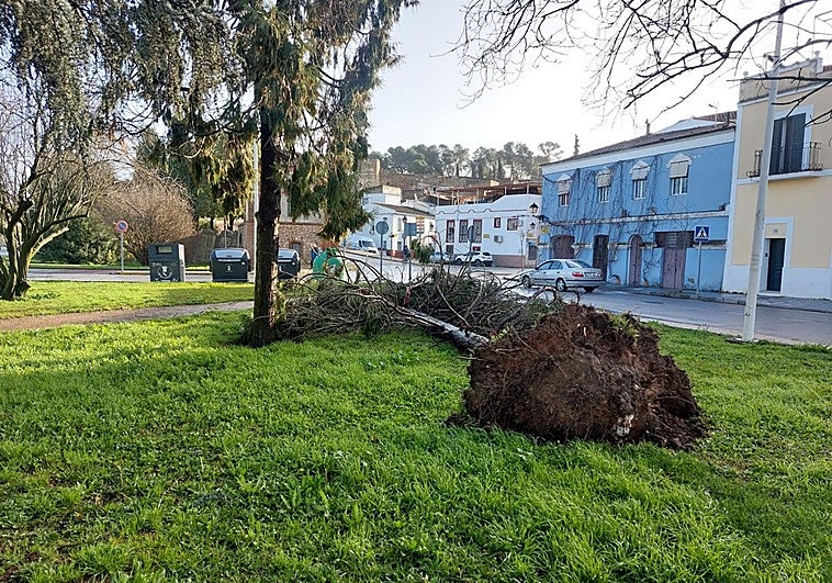 ¿Qué ha pasado este lunes, 2 de febrero, en Extremadura?