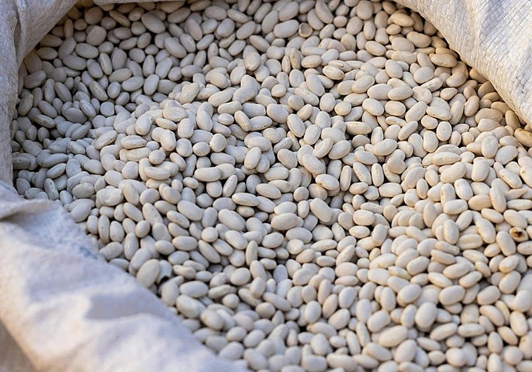 Sanidad alerta: este alimento tan común puede ser peligroso si no se cocina bien