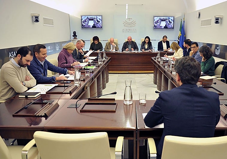 PSOE y Unidas por Extremadura critican la reducción de miembros en las comisiones de la Asamblea de Extremadura