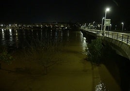 Buscan a una persona en el río Guadiana que creen que saltó desde un puente de Badajoz