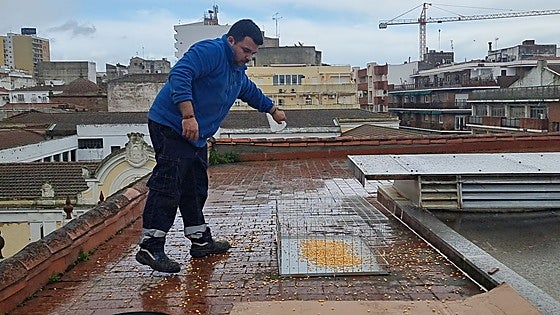 El Consistorio ha capturado 191 palomas en 15 jaulas instaladas para su control en Mérida