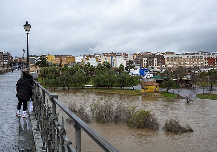 El hombre fallecido el sábado en el Guadiana huía de la policía, se escondió bajo el puente y murió por hipotermia