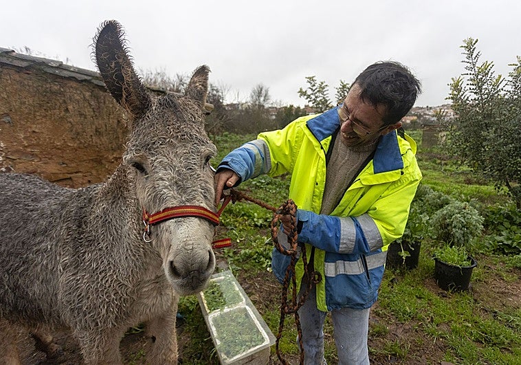 Localizan en buen estado a Espinete, el burro desaparecido en la Ribera del Marco de Cáceres