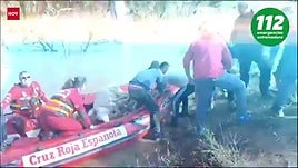 Así fue la evacuación de las 480 ovejas aisladas en Arroyo de San Serván por las lluvias