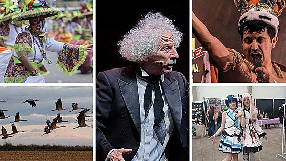 Cinco planes para disfrutar del finde: cierre carnavalero con grullas y cultura manga