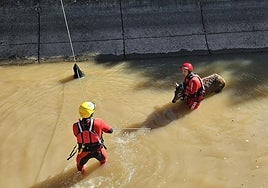 Así ha sido el rescate de un ciervo cerca de Logrosán