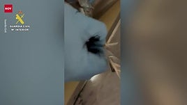 Detenido un empresario de Zafra por grabar a sus empleadas en el baño