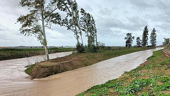 La recuperación del río Limonetes evitó inundaciones en Talavera y Balboa durante una crecida histórica