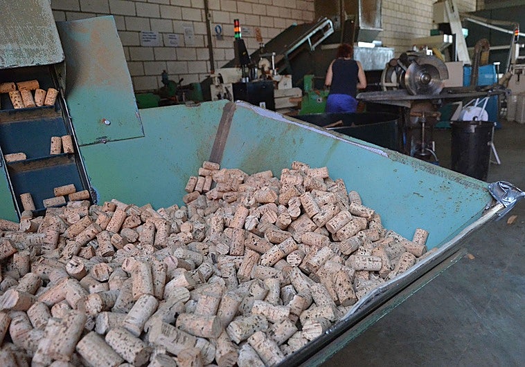 Extremadura se juega 46 millones de euros en exportaciones con la amenazas de Trump