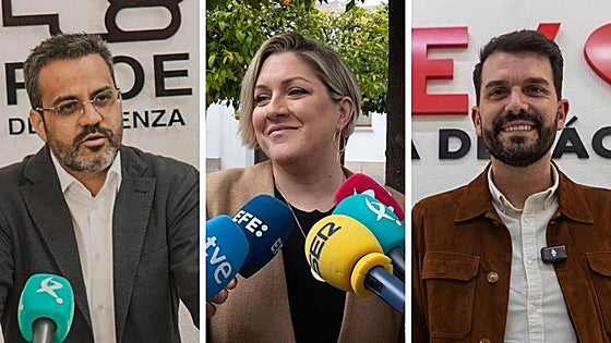 González Andrade, Soraya Vega y Sánchez Cotrina optan a liderar el PSOE regional
