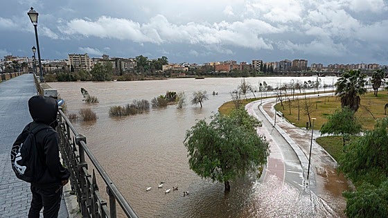 Gragera anuncia ayudas de hasta 3.000 euros por familia afectada por las borrascas