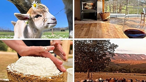 Este proyecto rural de Cáceres, entre las 30 mejores iniciativas de ganadería sostenible de España