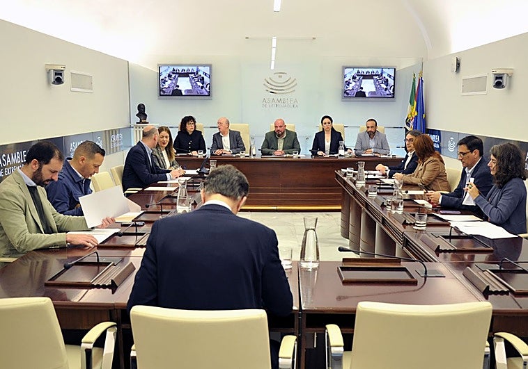 PP y Vox rechazan el pleno extraordinario que pedía Unidas por Extremadura