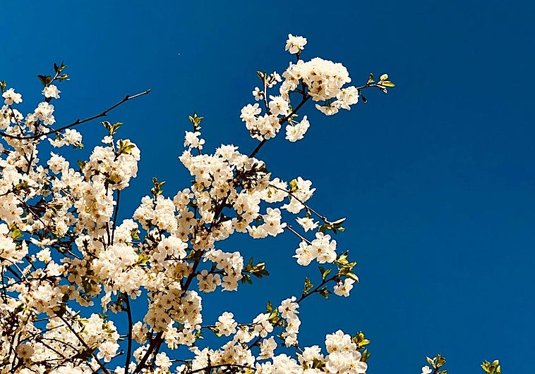 Llegar a la primavera