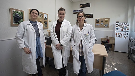 Viajeros de otras regiones con centros de vacunas saturados recurren a Extremadura