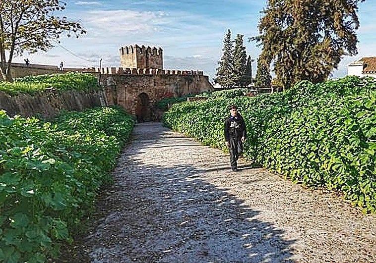 Ascensor a la alcazaba