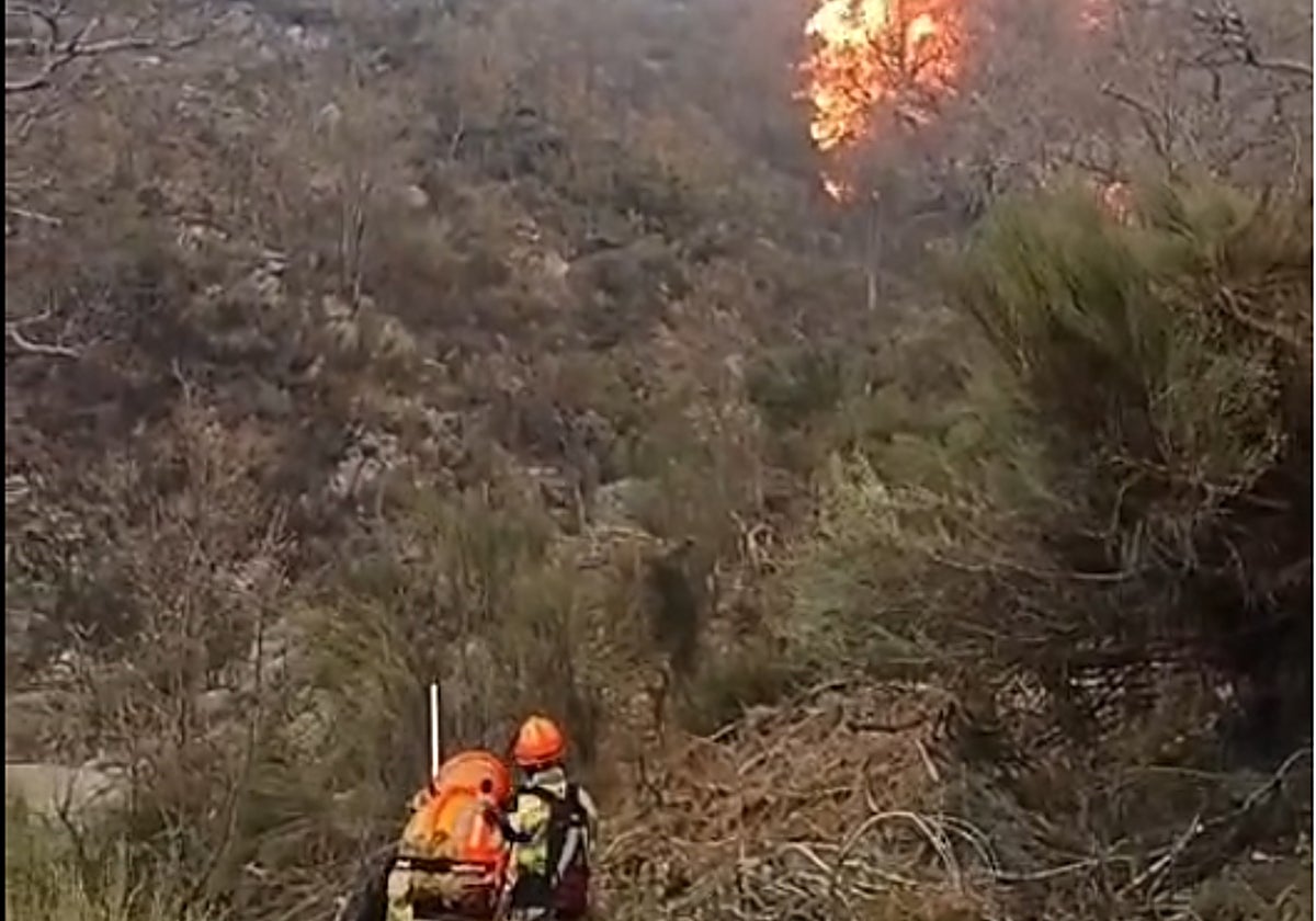 El incendio de La Vera se mantiene activo y ya ha quemado 400 hectáreas