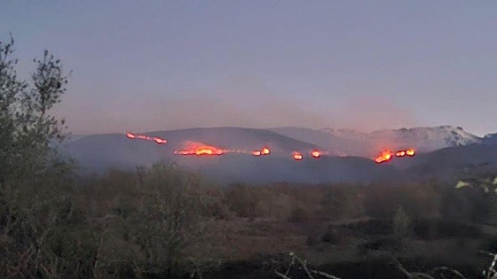 Ecologistas en Acción pide que se asuman responsabilidades por el fuego de Losar de la Vera