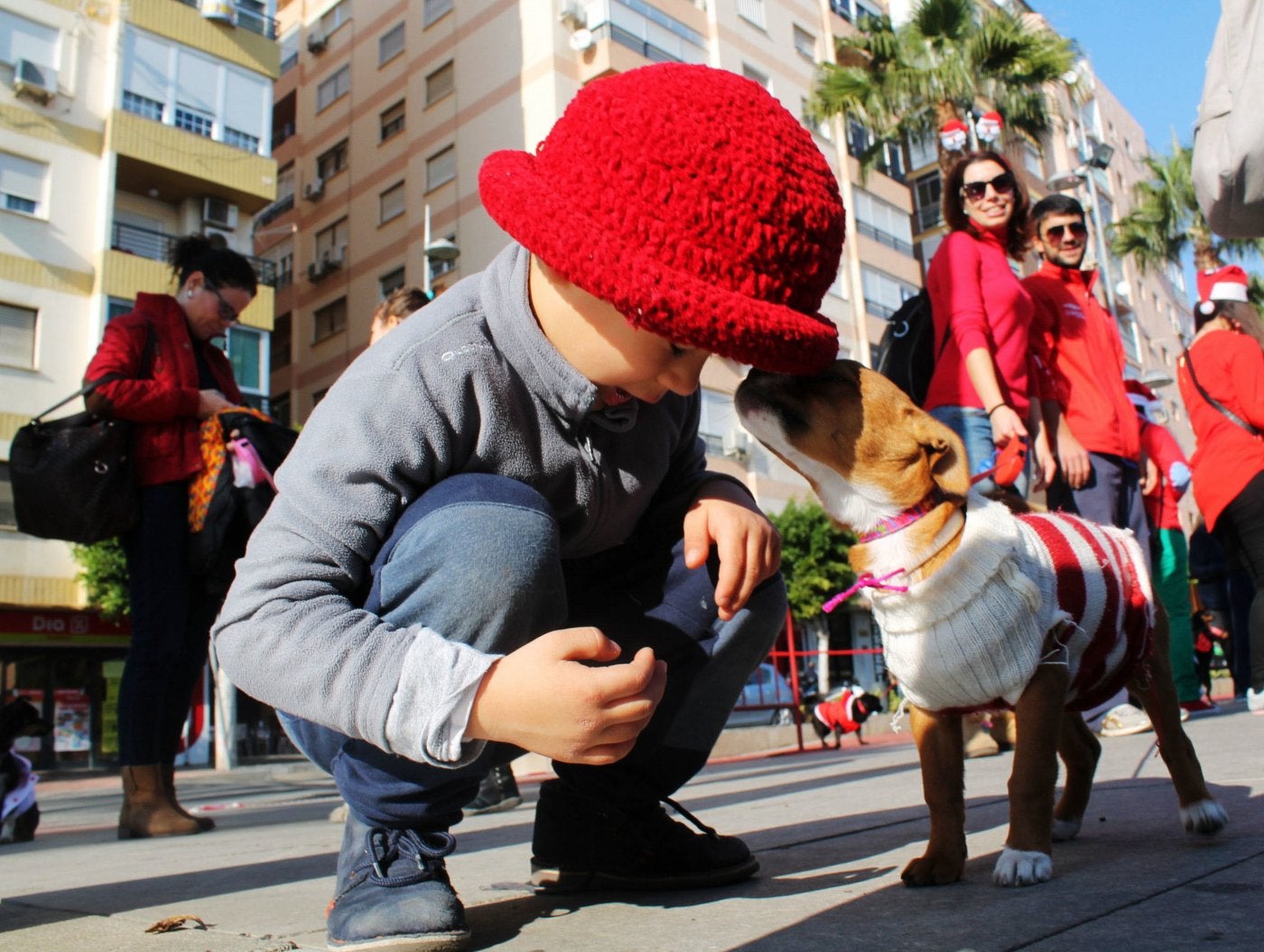La custodia de niños y mascotas forma parte de los litigios.