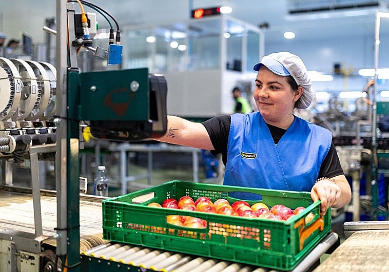 Datos de Mercadona en Extremadura: compras a más de 200 proveedores extremeños por valor de 580 millones en 2025