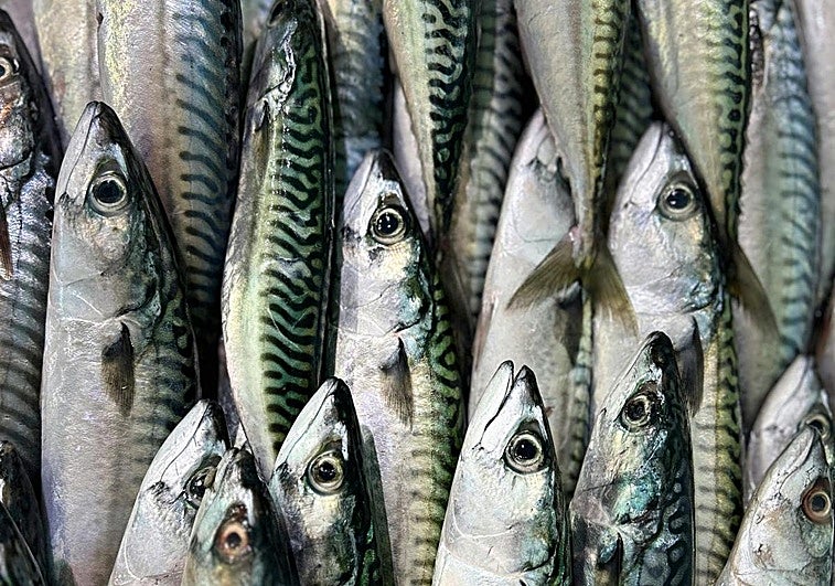 Italia alerta de la presencia de anisakis en un conocido pescado que llega desde España