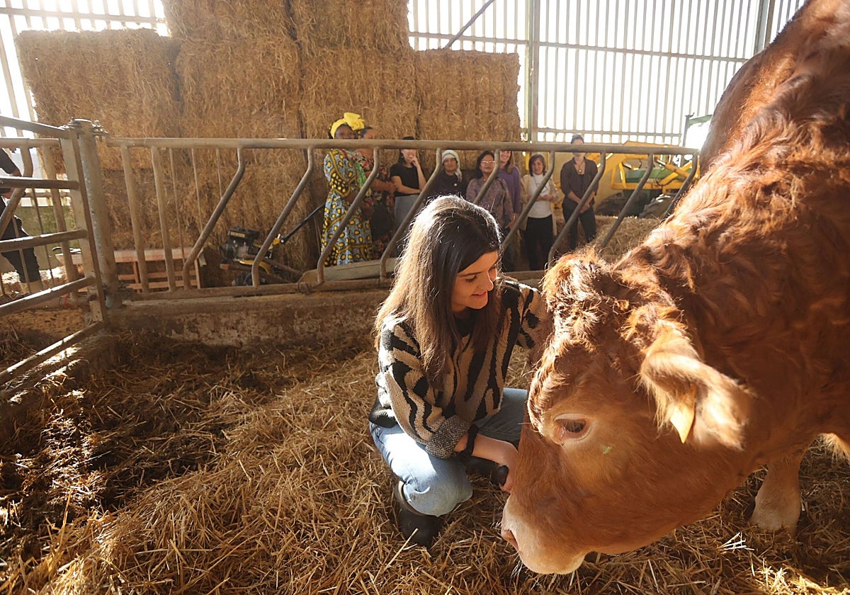 Al menos 10.000 autónomos extremeños verán incrementadas sus cuotas en 1.620 euros al año