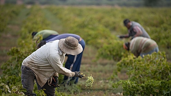 La regularización del Gobierno beneficiará a unos 3.000 inmigrantes en Extremadura
