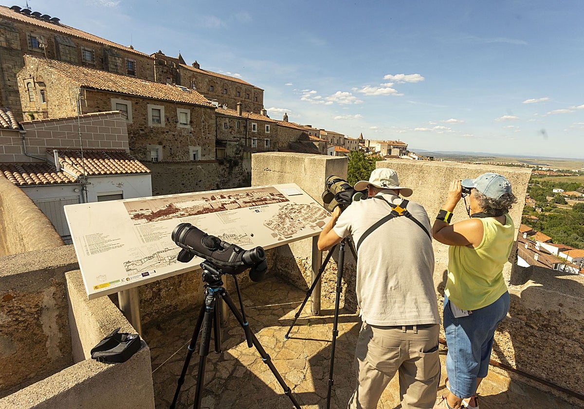 Los ocho mejores puntos para observar aves en Cáceres