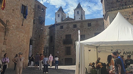 Fotos | Cáceres celebra el XVI Festival de las Aves