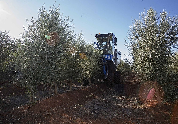 PP y Vox pactan extender la declaración responsable para quitar burocracia en el medio rural