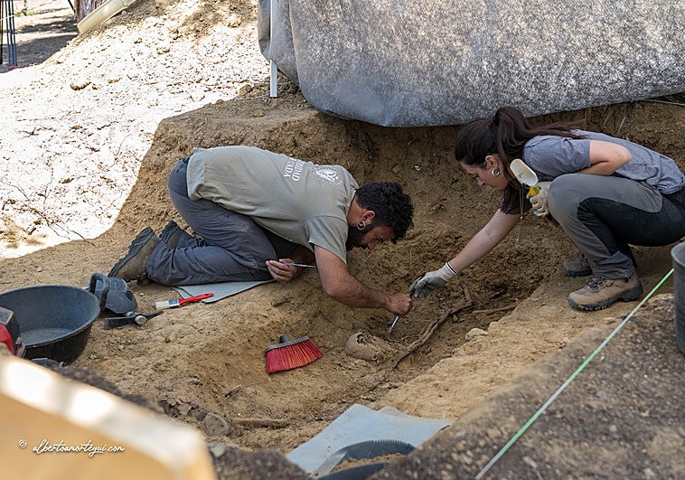 Hallan una fosa común de la Guerra Civil en Berlanga