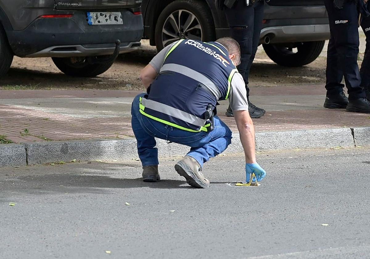 El delegado del Gobierno solicita a los mandos de la Policía Nacional y la Guardia Civil «más esfuerzos» ante la sucesión de tiroteos
