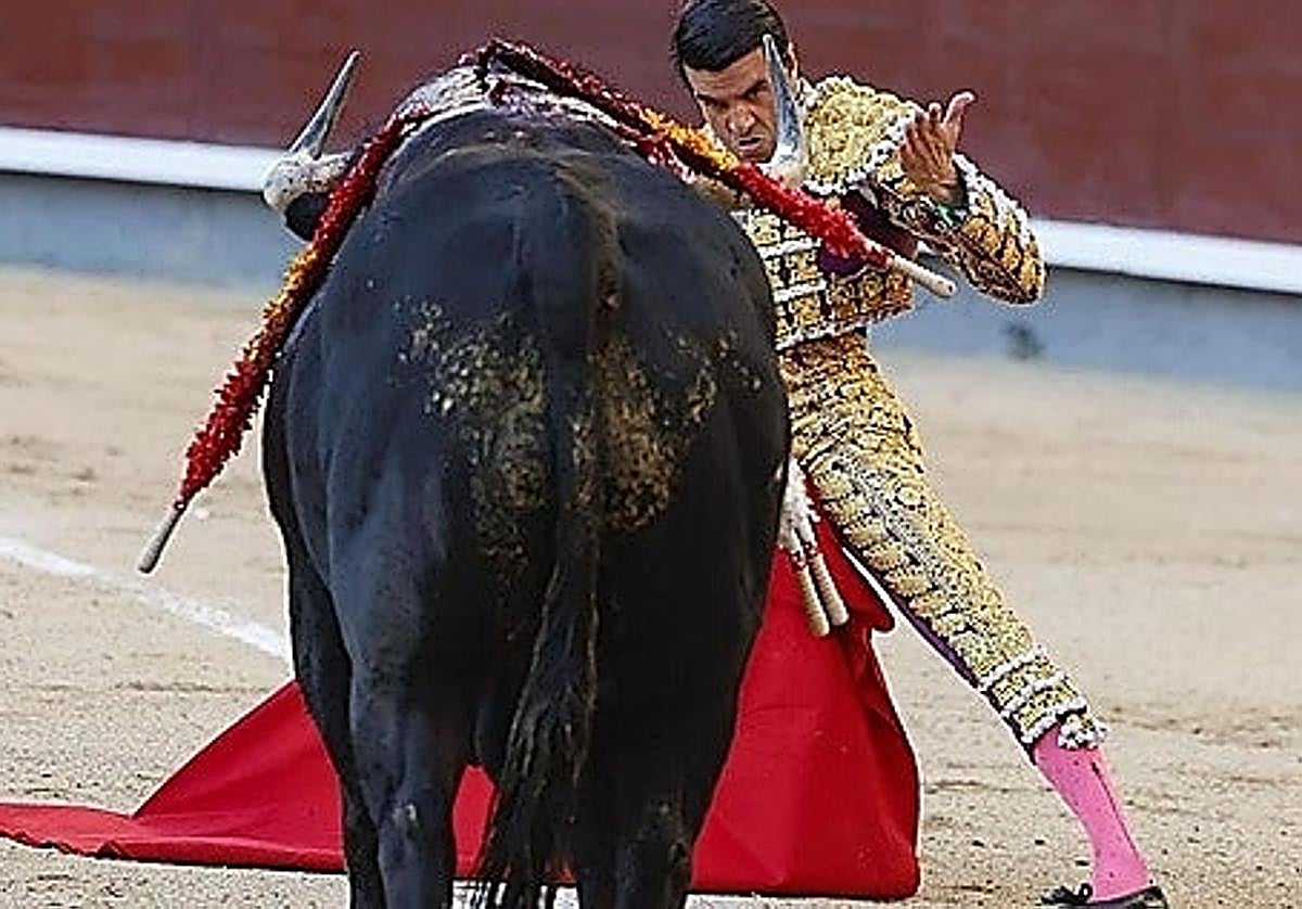 Una corrida de toros y una de rejones conforman la Feria Taurina de Plasencia