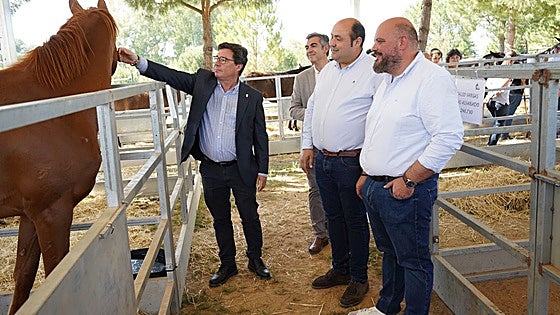 El Rodeo ganadero de Zahínos aspira a ser fiesta de interés regional