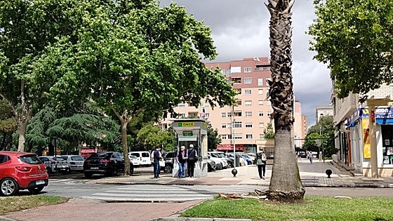 Trasladan al hospital a un hombre tras caerle encima la rama de una palmera