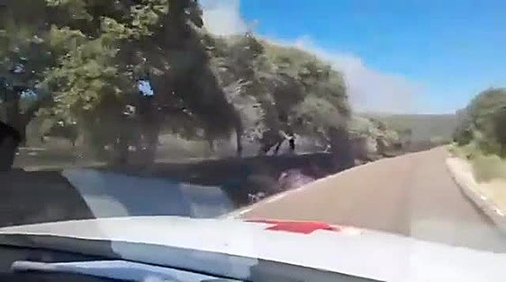 Declarado el nivel 1 de peligrosidad por un incendio forestal en Herrera del Duque