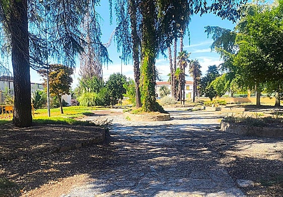 Los miles de estorninos de Trujillo se han convertido en un problema que dura ya años