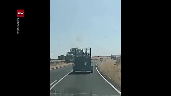 Investigado el conductor de una camioneta cuando circulaba con tres menores en su exterior sin seguridad