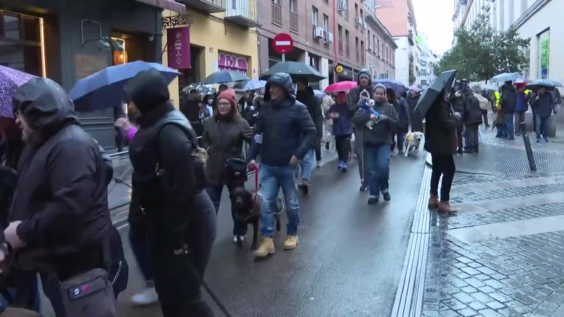 Decenas de personas acuden a la Vuelta de San Antón para la bendición de sus mascotas