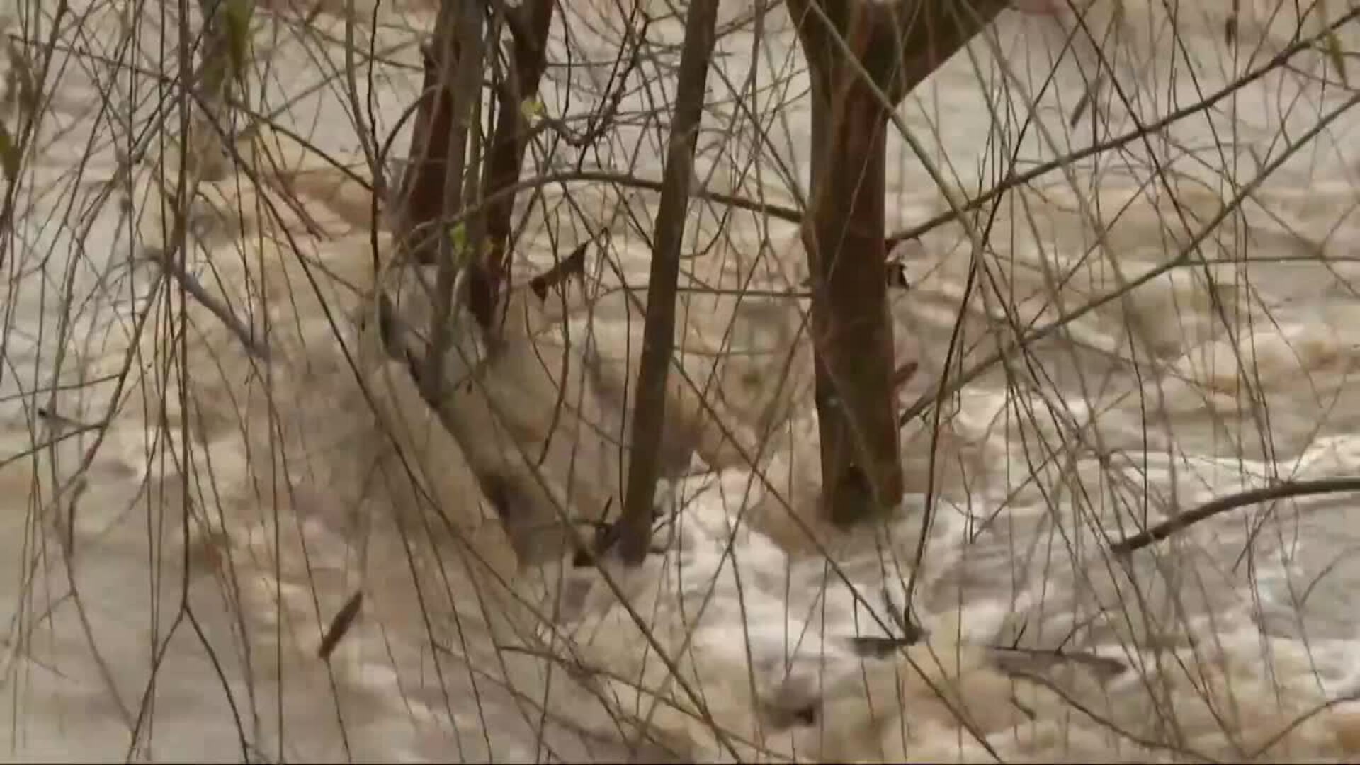 Girona recomienda subir a pisos superiores cerca del Onyar por temporal
