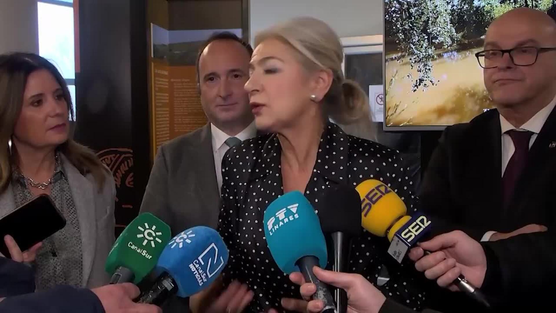 Junta convoca línea de ayudas para promover la investigación del patrimonio arqueológico