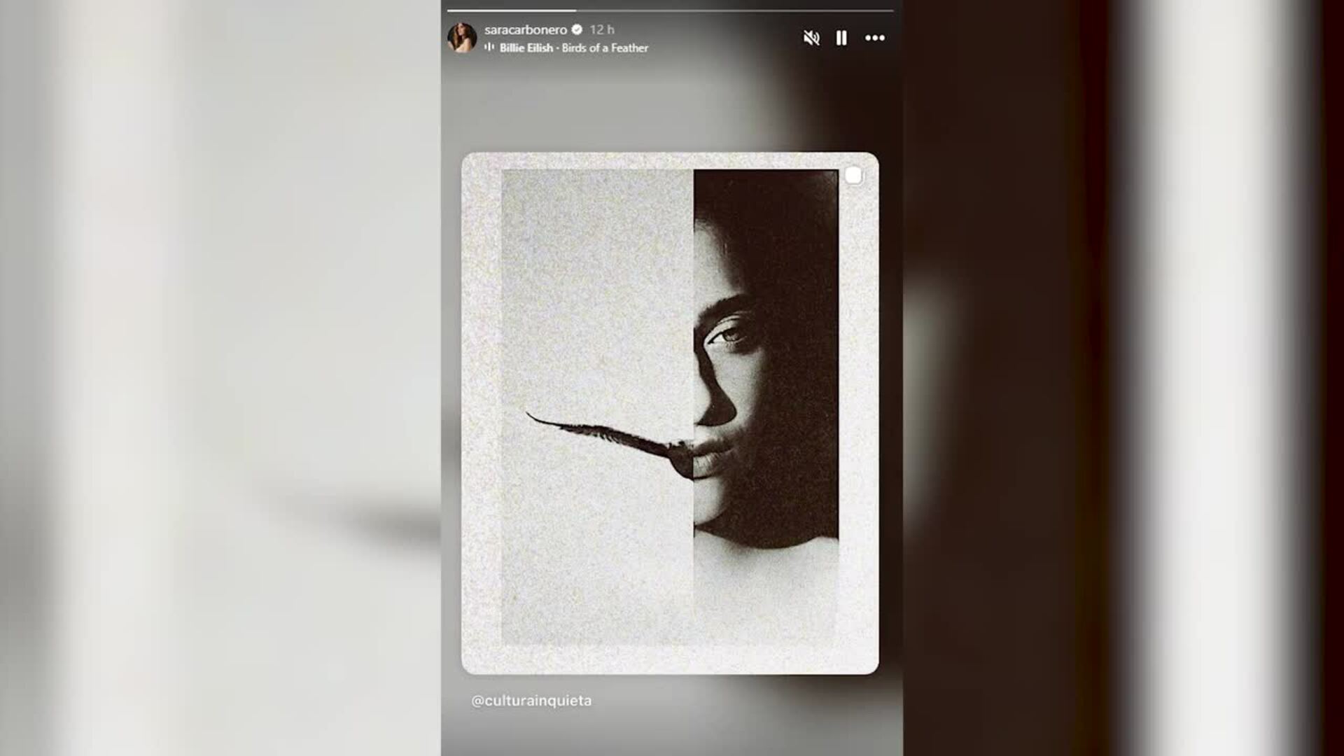 Sara Carbonero comparte una nueva reflexión en sus redes: "Mi soledad debería tener alas"