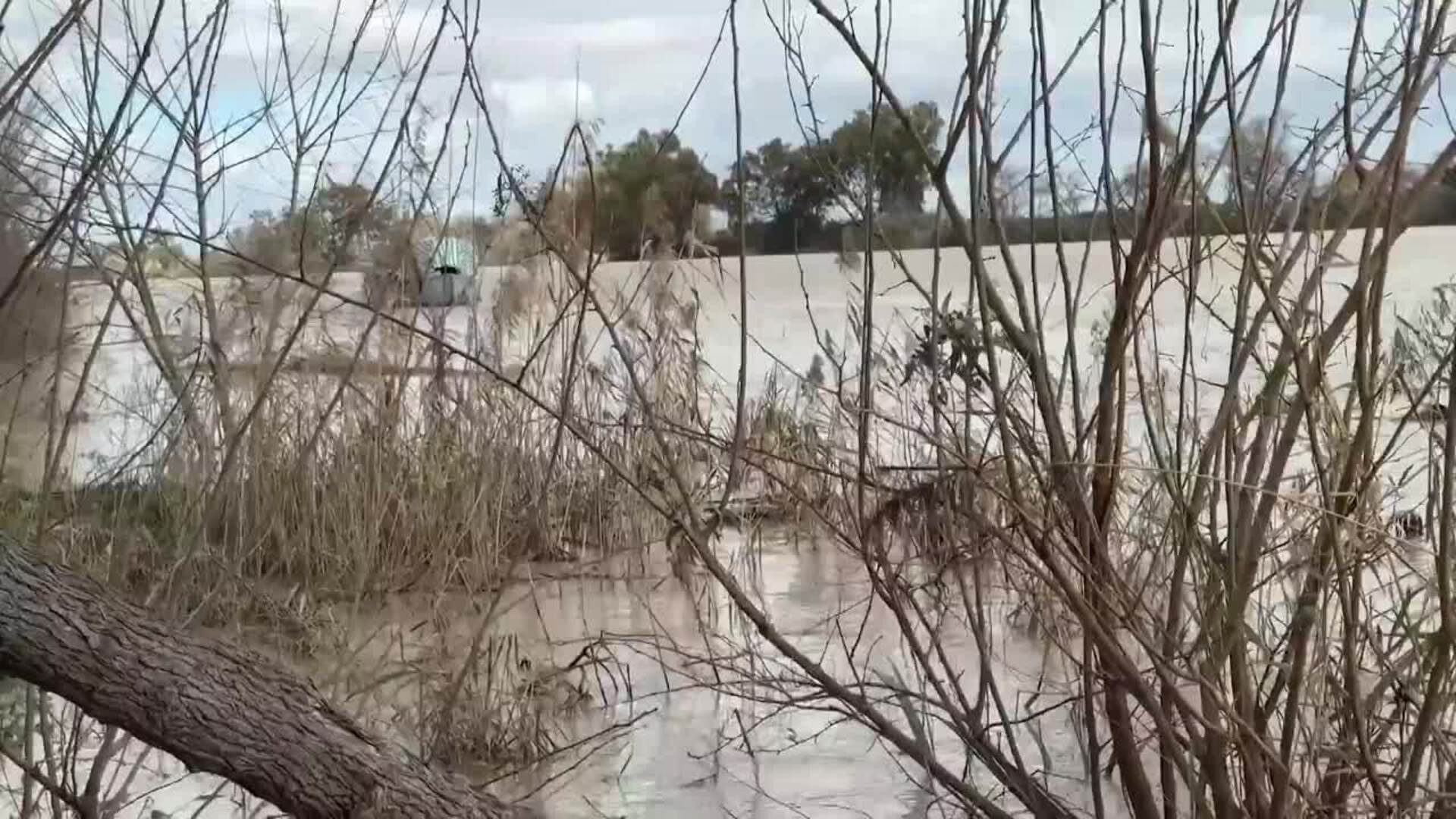 El Guadalquivir alcanza casi 3.000 m³ en Lora del Río con embalses en alerta roja.