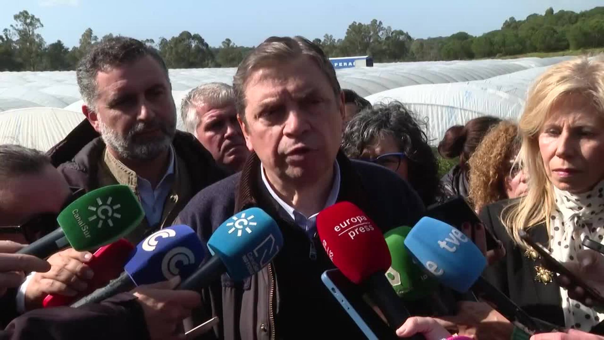 Planas pide a la UE movilizar la reserva agrícola para el campo andaluz